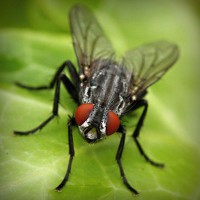 /album/thracunotun/photolia-a01-jpg/