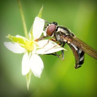 /album/thracunotun/photolia-a02-jpg/