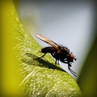 /album/thracunotun/photolia-a04-jpg/