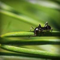 /album/thracunotun/photolia-a05-jpg/
