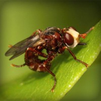 /album/thracunotun/photolia-a06-jpg/