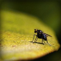 /album/thracunotun/photolia-a07-jpg/